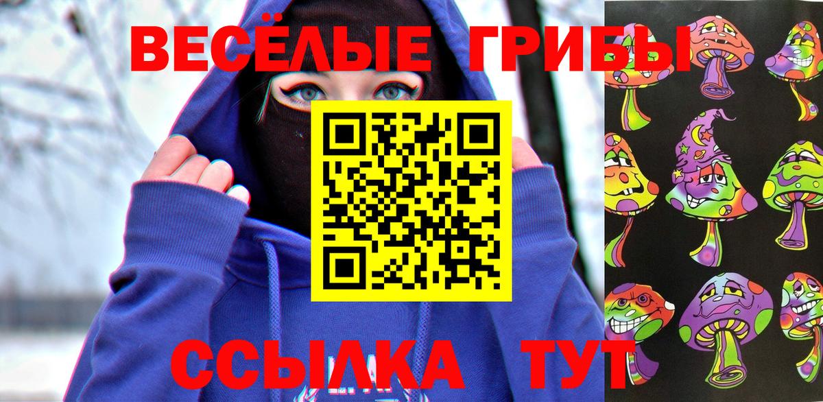 Галлюциногенные грибы Psilocybe Казань